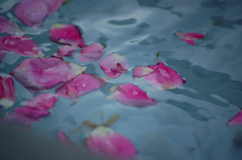 petals